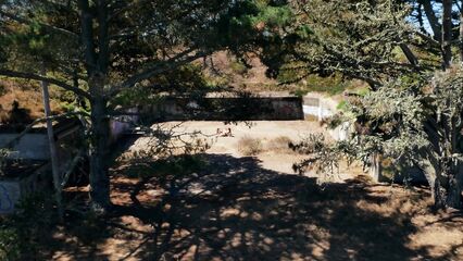 С помощью беспилотника сняли порнофильм Drone Boning