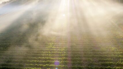 С помощью беспилотника сняли порнофильм Drone Boning