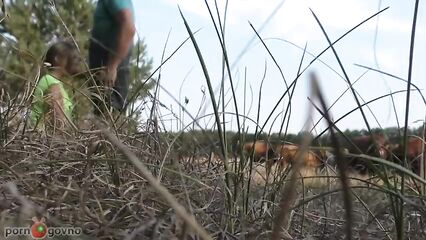 Быстрый публичный секс на виду у стада коров