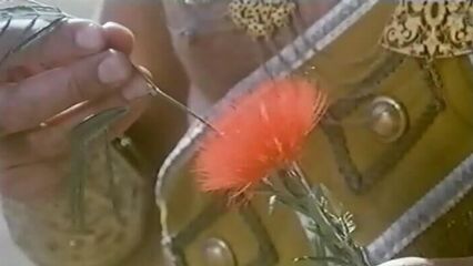 Эротические сны Клеопатры (1985) с русским переводом!