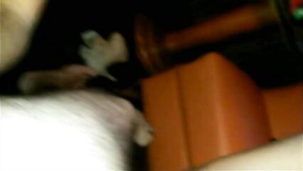 Русское порно: Молодая чеченка сосет заросший член