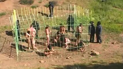 Планета обезьян | Planet of the Babes (2001) порно кино